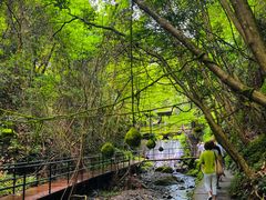 -夏霖九天银瀑风景区