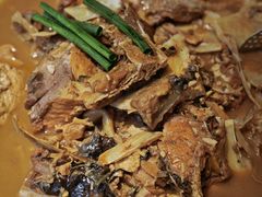-三强鸽子(中原路店)