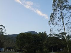 -黄埔油麻山森林公园