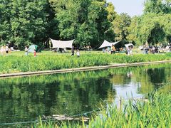 -上海共青森林公园