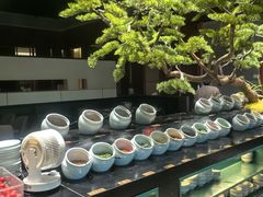 -滨湖塘西河公园