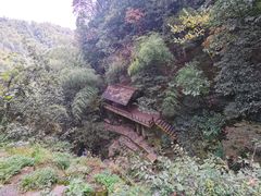 -莫干山风景区