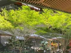 -瑞虹新天地月亮湾