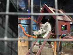 -酷嗒动物文化乐园(cutezoo西溪乐天城店)