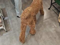 -爱派特动物医院·全科诊疗中心