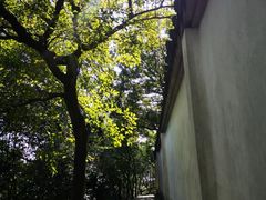 -上海佘山国家森林公园天马山园