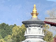 -庐山风景名胜区-东林大佛
