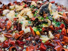 水煮鱼-小唐小四川水煮鱼(北三路店)