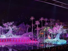 -三亚红色娘子军演艺公园景区