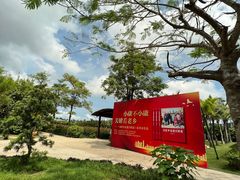 -亚龙湾国际玫瑰谷