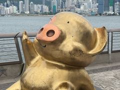 -星光大道