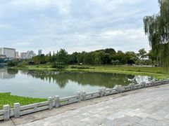 -眉山湿地公园(东坡区)