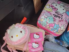 -杭州Hello Kitty乐园