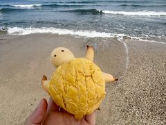 -皓景海鲜·地标美食(双月湾店)