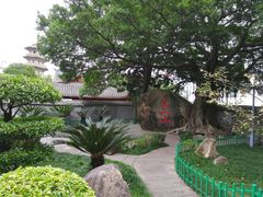 -乌山风景区