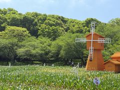 -苏州上方山国家森林公园