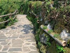 -同里湖度假村(二期店)