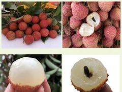 -鲜力达果品批发直销(无锡保利香槟店)