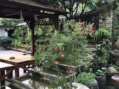 -青城甲(青城山店)