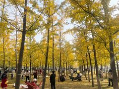 -汉长安城未央宫国家考古遗址公园