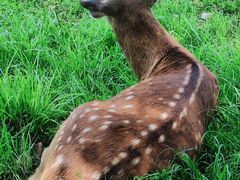 -良渚古城遗址公园