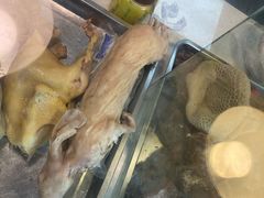 -王浩儿纪六孃甜皮鸭(乐山总店)