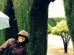 -阿尔罕布拉宫