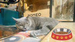 -青木造型HAIR·あおき髪を刈る潮人店