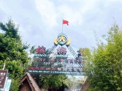 -海南槟榔谷黎苗文化旅游区