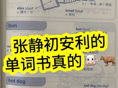 -竞思注意力·专注力·学习能力训练(广开中心)