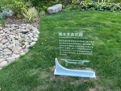-渤公岛生态公园