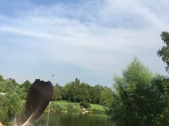 -万柳高尔夫俱乐部