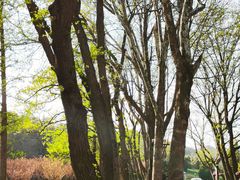 -棒棰岛宾馆景区