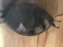 -网鱼电竞·棋牌(五一广场店)