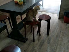 -巧云大馄饨(南阴阳营总店)