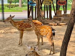 -南戴河国际娱乐中心