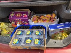 -西郊国际农产品交易中心