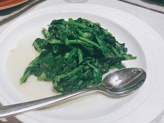 姜米高山豆苗-上海宝华喜来登酒店·采悦轩中餐厅