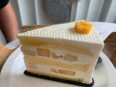 -夏佐CHASEL(横店康庄路店)