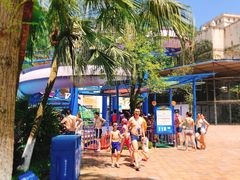 -重庆海昌加勒比海水世界