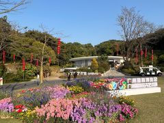 -云溪植物园