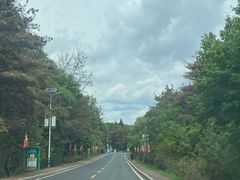 -帽儿山国家森林公园