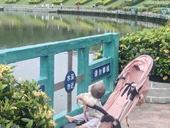 -东莞植物园