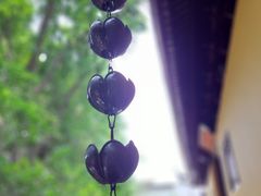 -西园寺素食(西园弄戒幢律寺店)