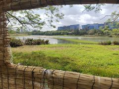 -华侨城湿地公园