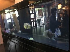 -长赢养生(平度店)