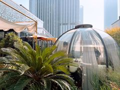 -龟兹KUCINA·新疆菜(前滩L+PLAZA店)