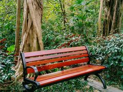 -深圳国际园林花卉博览园