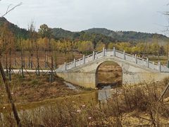-千年银杏谷文化旅游区