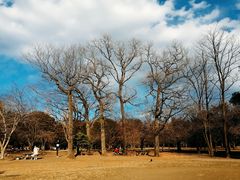 -井之头恩赐公园